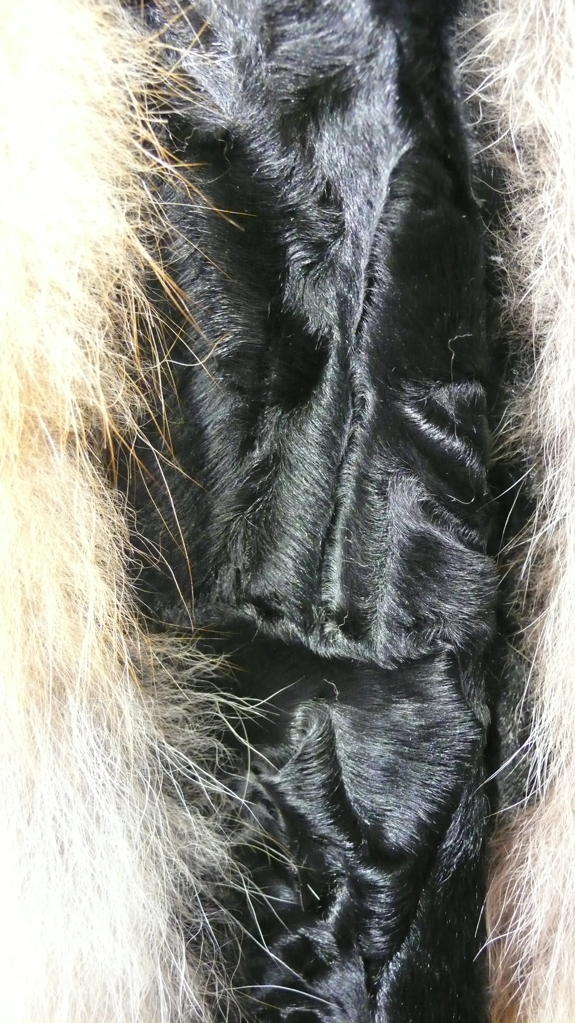 Black SWAKARA Fur Vest with Red Fox Fur Front Back Trim PREMIER FURS