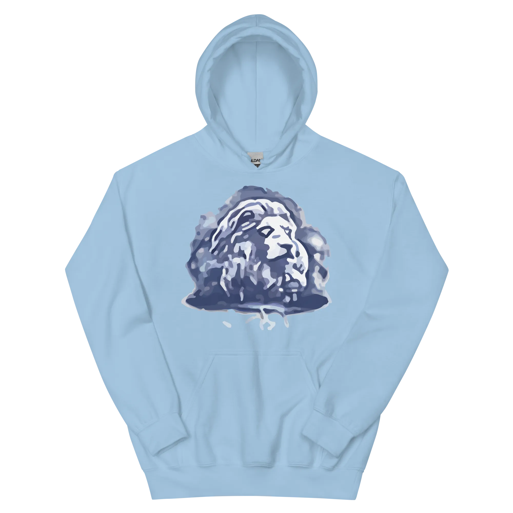 EverQuest®II Fury Hoodie