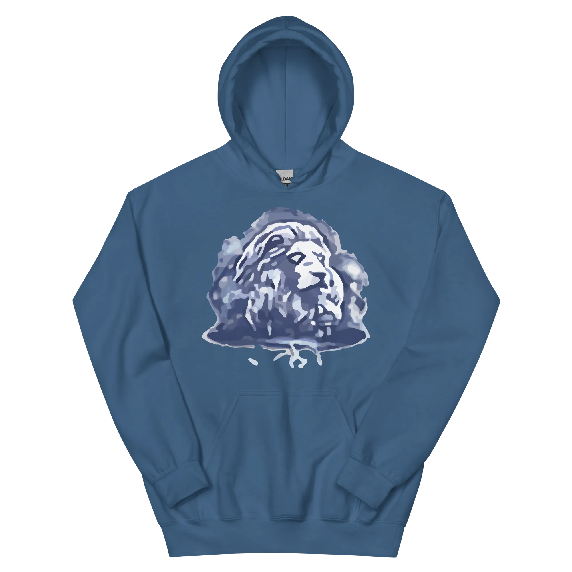 EverQuest®II Fury Hoodie