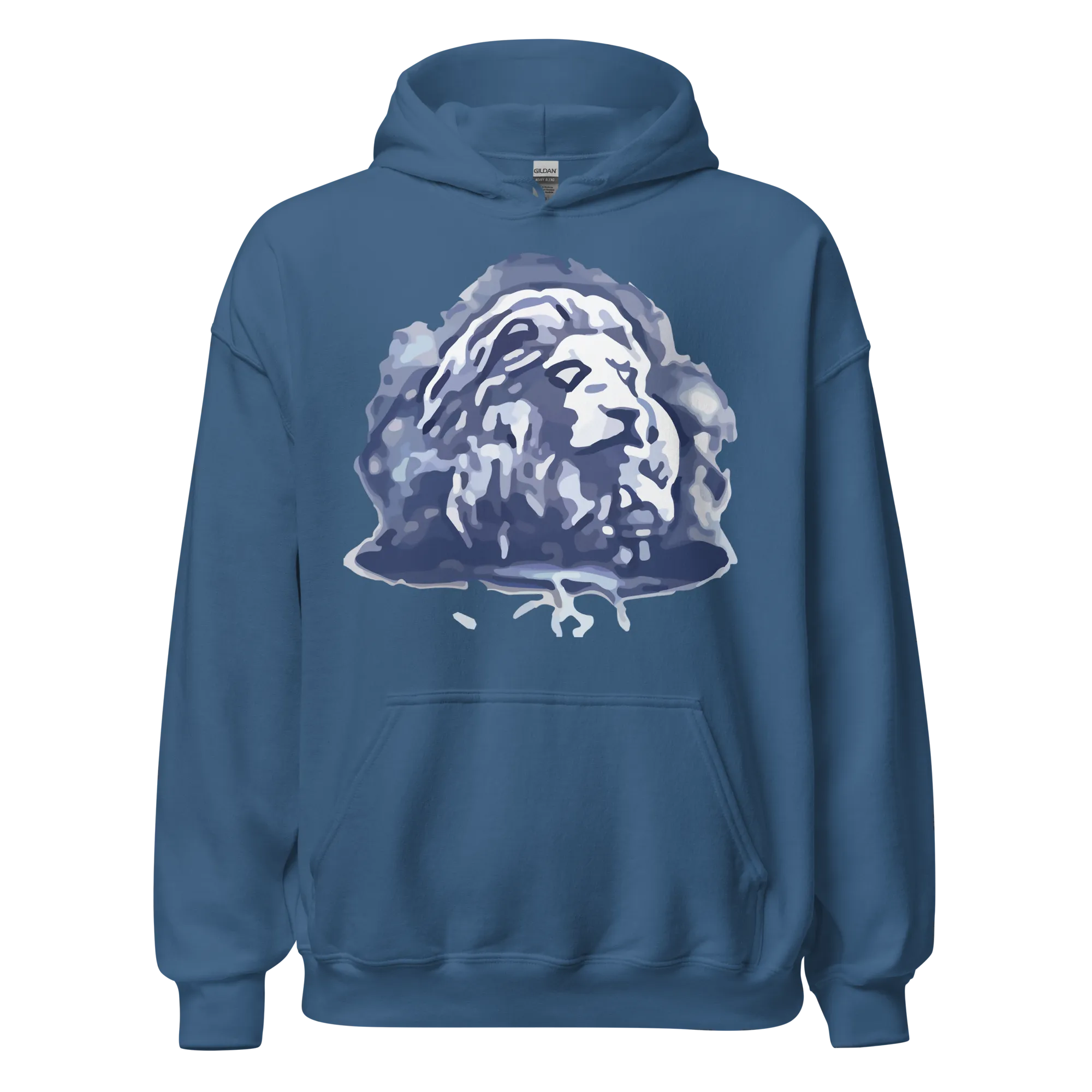 EverQuest®II Fury Hoodie