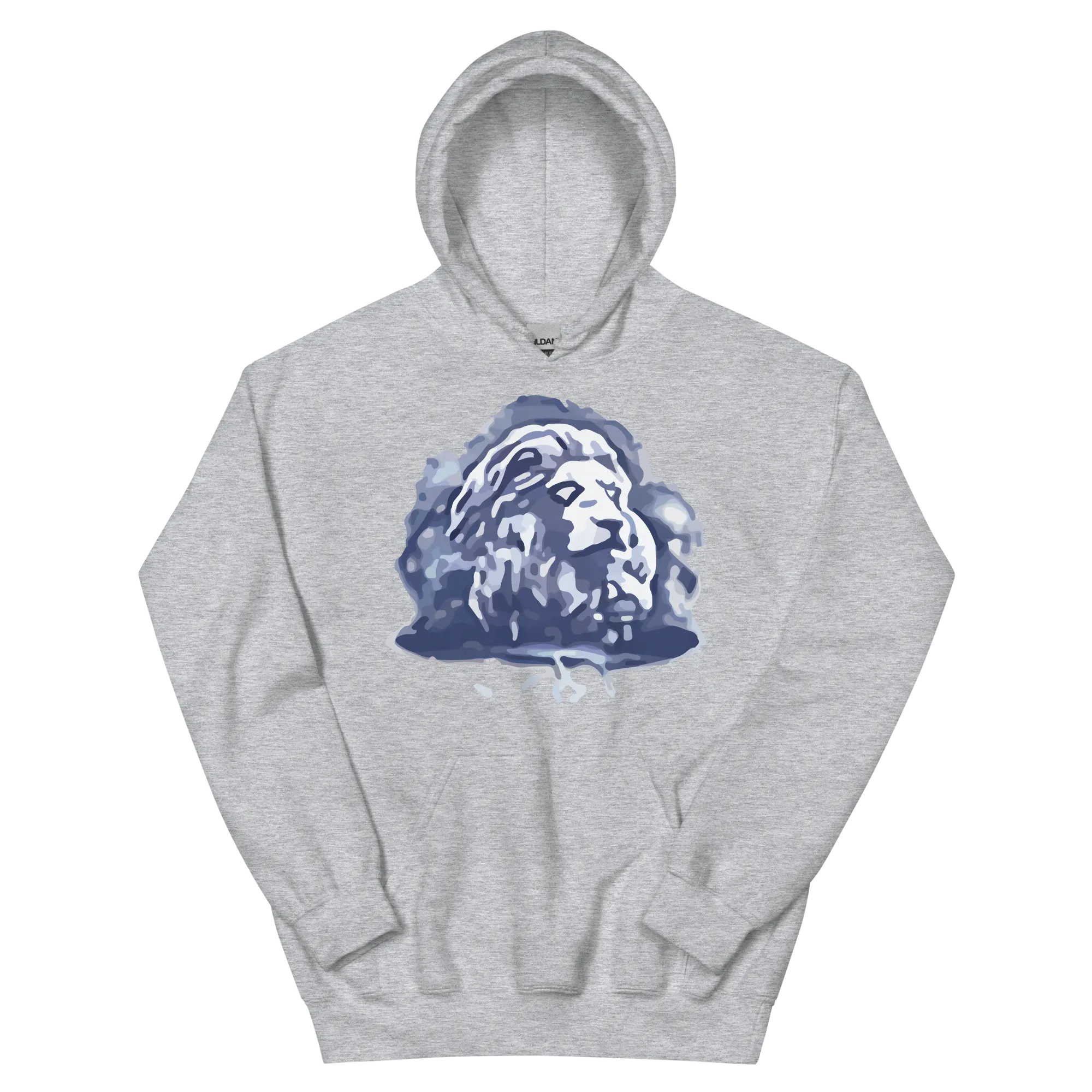 EverQuest®II Fury Hoodie