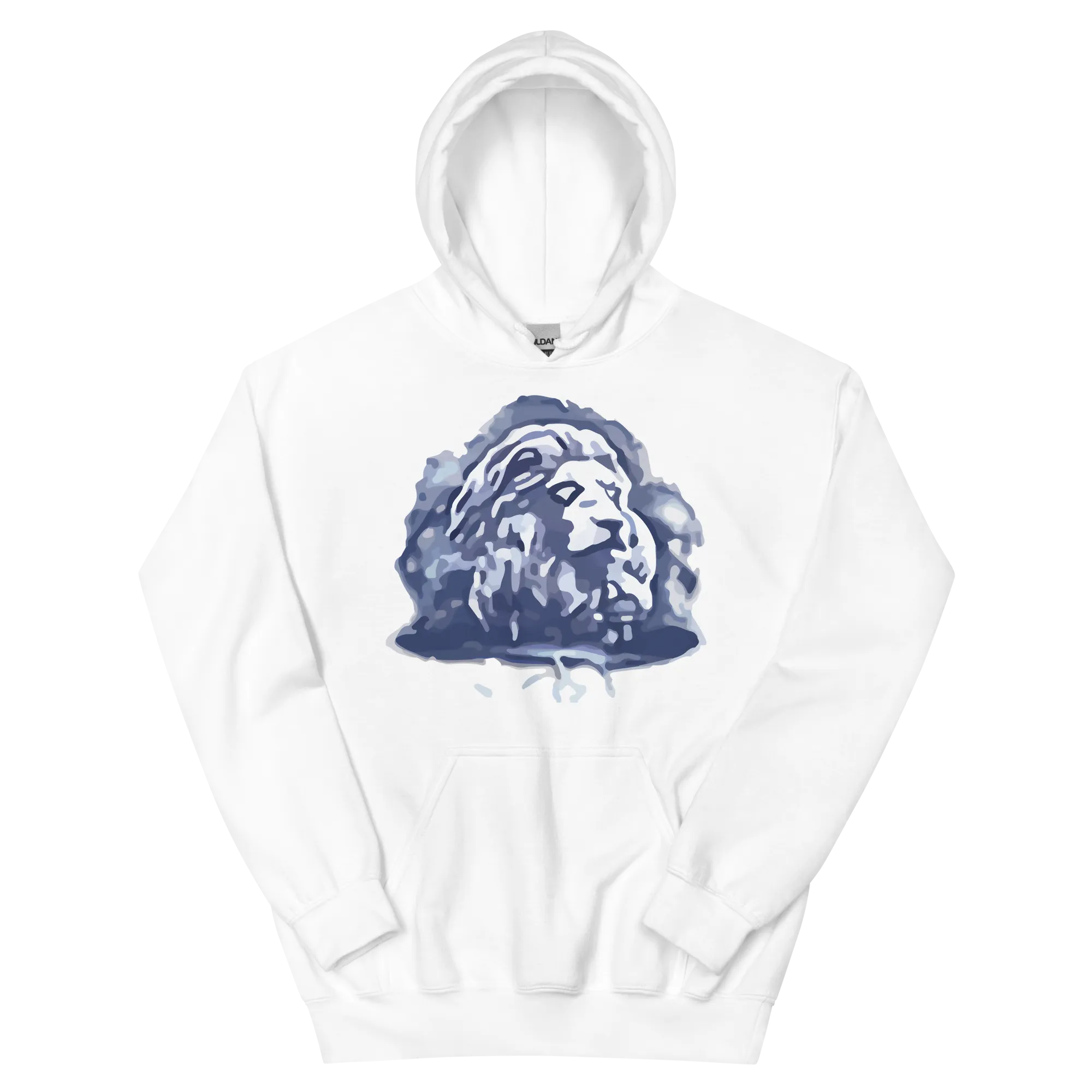 EverQuest®II Fury Hoodie